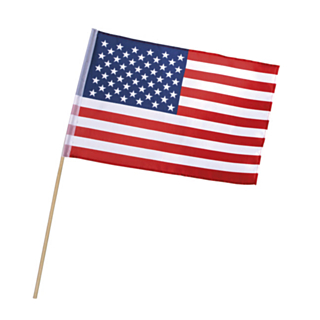 USA Flag På Pind