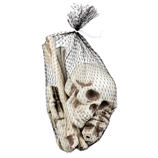 Skelet Knogler
