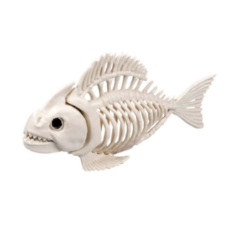 Fisk Skelet