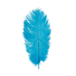 Strudsefjer Turkis 20-25 cm