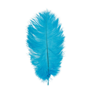 Strudsefjer Turkis 55-60 cm
