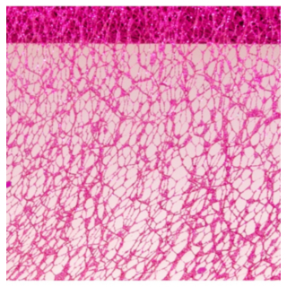Glitter Bordløber Fuchsia