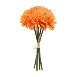 Dahlia Blomster Orange