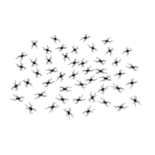 Mini Edderkopper Sort