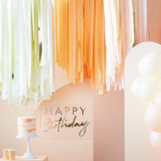 DIY Backdrop Laksefarvet