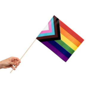 Progress Pride Flag På Pinde