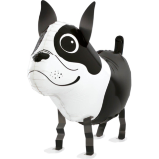 Boston Terrier Folieballon
