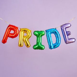 Pride Folieballon Guirlande