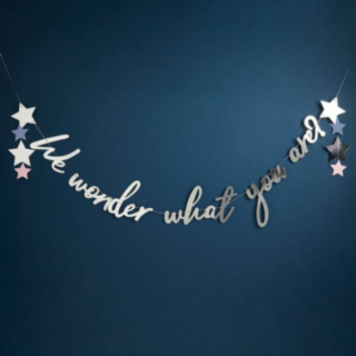 We Wonder What You Are Babyshower Guirlande