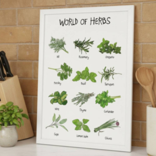 World Of Herbs A4 Plakat