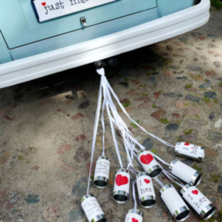 Bryllupsd&aring;ser Til Bilen