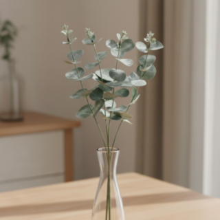 Eukalyptus Gren