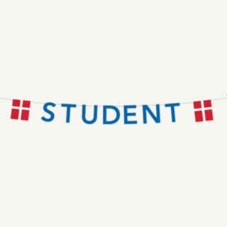Student Flagguirlande Blå