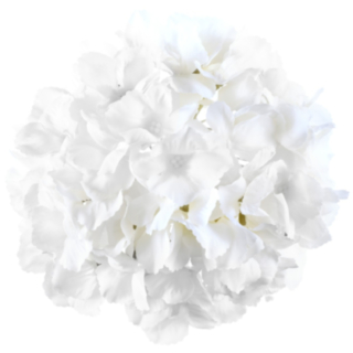 Kunstig Hortensia Blomst Hvid