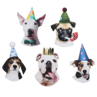 Party Dogs Bordpynt Multifarvet