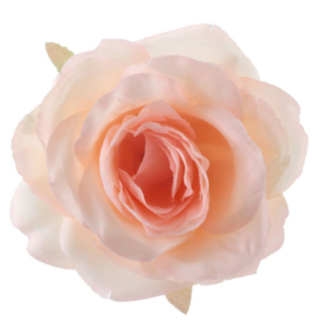 Rose Bordpynt Fersken