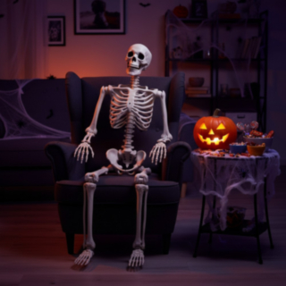 Skelet Life Size