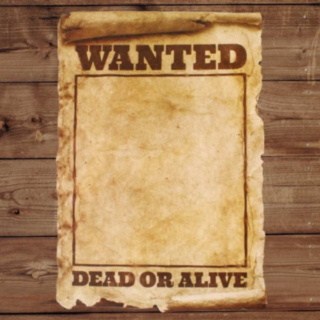 Wanted Plakat