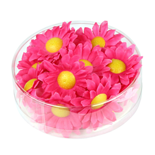 Margueritblomster Pink