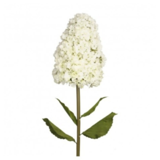 Kunstig Hortensia På Stilk