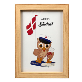 Årets Student Plakat I Ramme