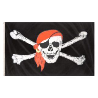 Piratskib Flag Med Kranie Og Bandana