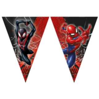 Spider-Man® Flagbanner