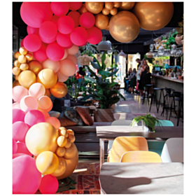 Deluxe Ballonbue Pink