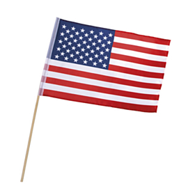 USA Flag På Pind