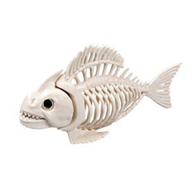 Fisk Skelet