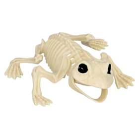 Frø Skelet
