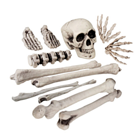 Halloween Skelet