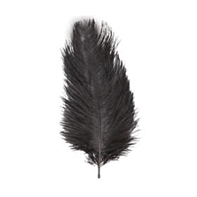 Strudsefjer Sort 55-60 cm