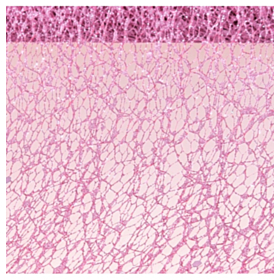 Glitter Bordløber Rosa