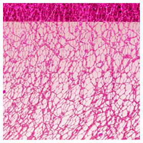 Glitter Bordløber Fuchsia