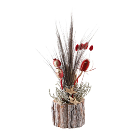 Tørrede Naturblomster I Træfod