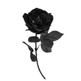 Kunstig Rose Sort