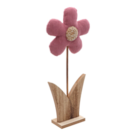 Stående Daisy Blomst Rosa