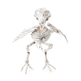 Skelet Ravn Hvid