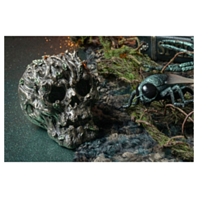 Skov Kranie Skulptur