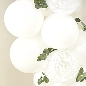 Eucalyptus Blomster Grene