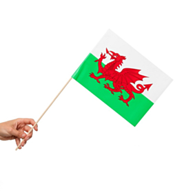 Wales Flag På Pinde
