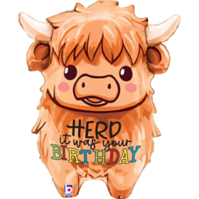 Højlandskvæg Fødselsdag Folieballon