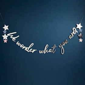 We Wonder What You Are Babyshower Guirlande
