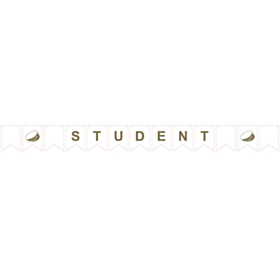 Student Flagguirlande
