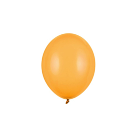 Balloner Pastel Honey