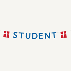 Student Flagguirlande Blå