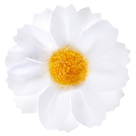 Marguerit Bordpynt Hvid
