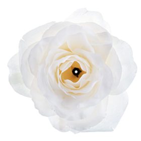 Rose Bordpynt Hvid