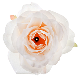 Rose Bordpynt Elfenben